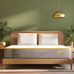 SleepyCat Ultima Natural Latex 8 Inch Thickness King Size Mattress 78x72x8 Inches-image-74