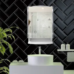 Mirror Cabinet Bathroom Mirror-23