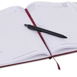 excel Executive Hard Bound Diary with Sunday Half Pages Regular Diary 2025 (Cover Color may be Different) Ruled 340 Pages image 3