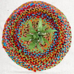 Art Avenue Flat Green & Red Braided Round Jute Rug-image-88