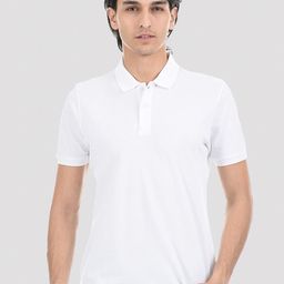 ONEWAY Cotton Polo T-Shirt-image-50