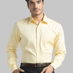 Raymond Slim Fit Cotton Formal Shirt-image-86