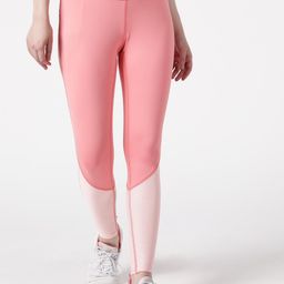 STUDIOACTIV Women Peach Solid High-Rise Tights-image-61