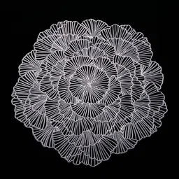 Dakshya Industries 4 Pcs White Floral Table Placemats-15