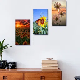 999Store Set Of 3 Sunflower AT Sunset Framed Wall Arts-image-37