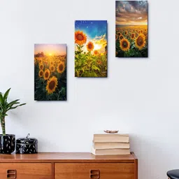 999Store Set Of 3 Sunflower Before The Sunsets Framed Wall Arts-44