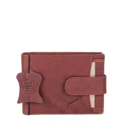 WILD EDGE Men Brown Leather Two Fold Wallet-image-61