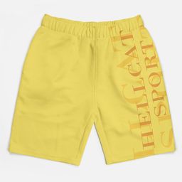 HELLCAT Boys Pack of 3 Trendy Typographic Printed Cotton Sports Shorts image 2