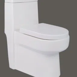 Platinum Ceramic /Water Closet/With Soft Close Toilet Seat 1004- Platinum Ceramic /Water Closet/With Soft Close Toilet Seat Western Commode-26