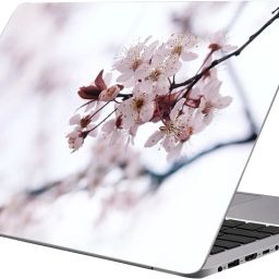 Printart Blossom White flower wallpaper sticker decals vinyl for laptop sticker nature flower PVC Vinyl Laptop Decal 17-image-18