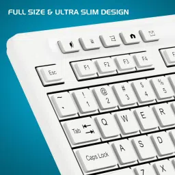 zebion G1600 Next and Mouse Combo, 1200 DPI Mouse,Silent Click, Wireless Standard Laptop Keyboard Compatible with Desktop, Laptop image 4