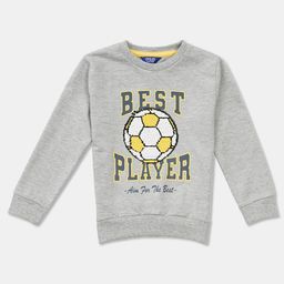 R&B Boys Grey Printed Sweatshirt-picture-42
