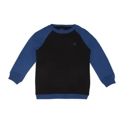 Allen Solly Junior Boys Round Neck Raglan Sleeves Sweatshirt-picture-26