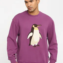 Basics Comfort Fit Embroidered Cotton Pullover Sweatshirt-picture-34