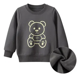 StyleCast Boys Grey Graphic Printed Pullover Sweatshirt-image-43