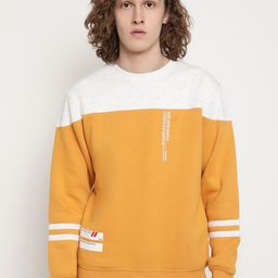 Octave Men Yellow Colourblocked Sweatshirt-image-10