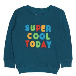 Bodycare Kids Boys Teal Blue Printed Cotton Round Neck Sweatshirt-image-37