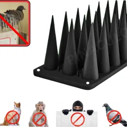 Bird Spike-13