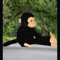 Hanging Monkey Teddy Bear Soft Toy For Kids_NEW1 - 40 cm-image-57