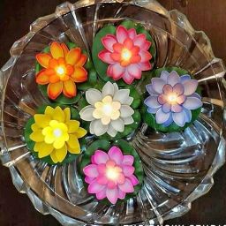 black paper Lotus Candle/MultiColor floating lotus with light Multicolor Candle image 2