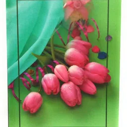 natraj Memo Photo Album With 0.6mm Thick Extra Clear PVC Film, 200 Pocket, (Photo Size Supported: 5'x7') Album-picture-4