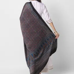 Dupatta Bazaar Navy Blue & Brown Ajrakh Block Printed Pure Silk Dupatta image 4