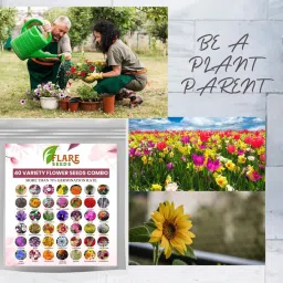 flare seeds 40 Variety Flowers Seeds Combo Pack Bloom Your Garden Seed image 2
