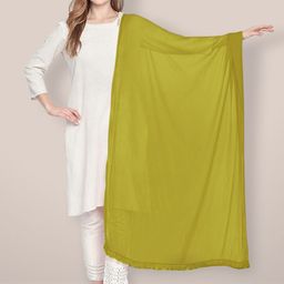 Dupatta Bazaar Chiffon Dupatta With Fringed Border-57