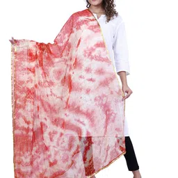 Alakh Creation Checked Zari Detailed Batik Chiffon Dupatta-58