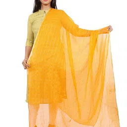 Alakh Creation Checked Zari Detailed Chiffon Dupatta-5
