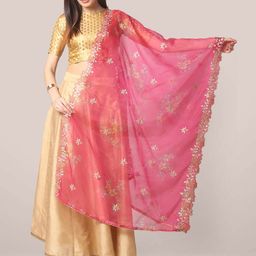 Dupatta Bazaar Embroidered Organza Dupatta with Zardozi-10