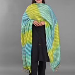 Apratim Green & White Striped Leheriya Dupatta-picture-25