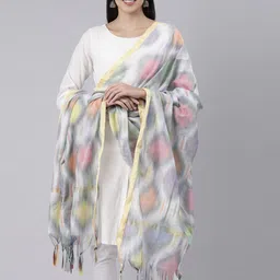 Souchii  Woven Design Ikat Dupatta-picture-14