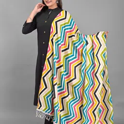 Apratim White & Blue Striped Dupatta-picture-29
