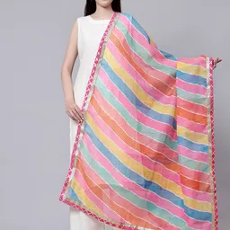 Aditi Wasan Striped Chiffon Dupatta-22