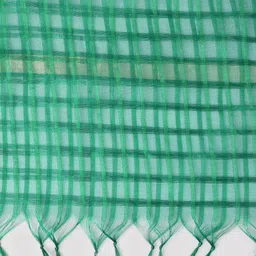 WEAVERS VILLA Woven Design Cotton Silk Dupatta image 3