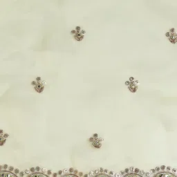 Dupatta Bazaar Embroidered Tissue Dupatta with Mirror Work image 5