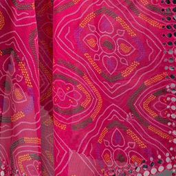 Apratim Printed Dupatta with Mirror Work image 5