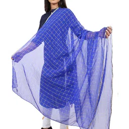Alakh Creation Checked Zari Detailed Chiffon Dupatta image 2