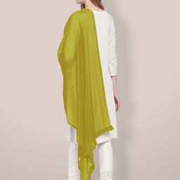 Dupatta Bazaar Chiffon Dupatta With Fringed Border image 3