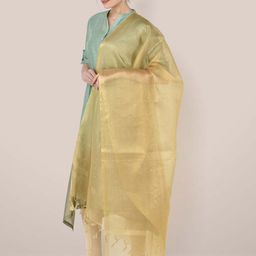 Dupatta Bazaar Dupatta with Sequinned image 5