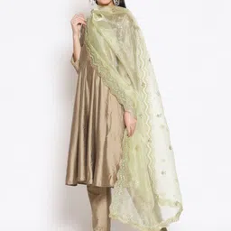 Dupatta Bazaar Embroidered Tissue Dupatta with Mirror Work image 4