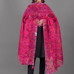 Apratim Printed Dupatta with Mirror Work image 3