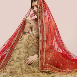 Dupatta Bazaar Ethnic Motifs Embroidered Net Dupatta with Sequinned image 2