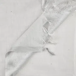 Dupatta Bazaar Tissue Silk Dupatta with Sequinned image 5