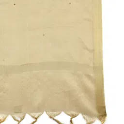 Dupatta Bazaar Dupatta with Sequinned image 3