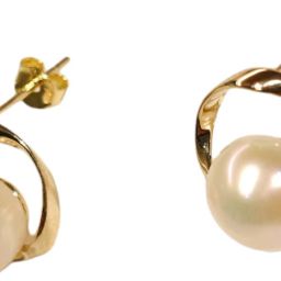 Swan Stone Studs Silver Stud Earring-image-4