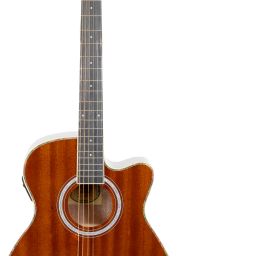 T-G30 Semi-acoustic Guitar Mahogany Fiber Right Hand Orientation-12