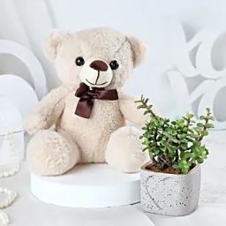 Teddy Love N Plant Special Valentine Gift-image-4