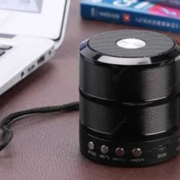 ANANDANI WS-887 Channel Wireless Bluetooth Portable Outdoor Speaker 5 W Bluetooth Party Speaker-24